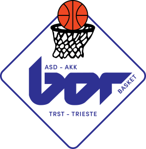 logo ASD-AKK BOR Basket 1738255622.170132